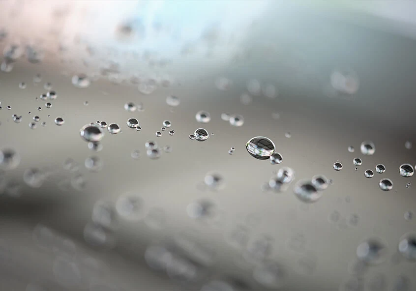 Macro Shot of Condensation Droplets